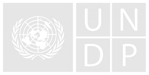 UNDP